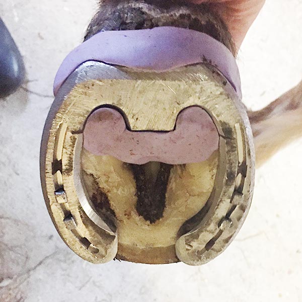 Florian_Hering_Rehebeschlag